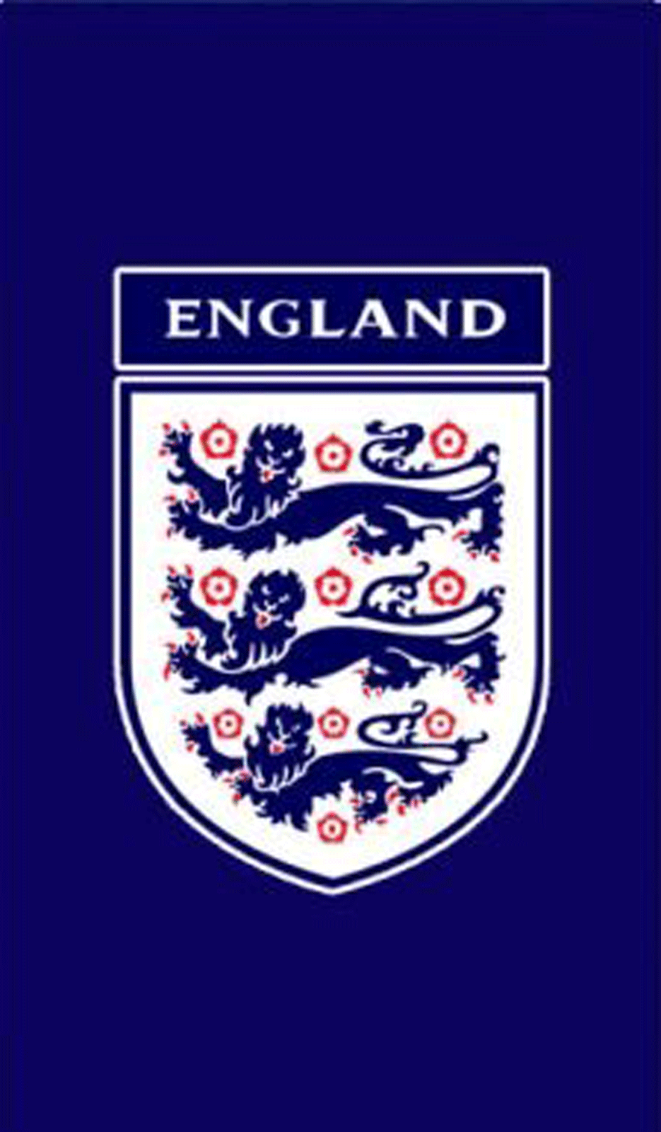 OFFICIAL ENGLAND FOOTBALL TEAM BEACH BATH TOWEL BORDER ...