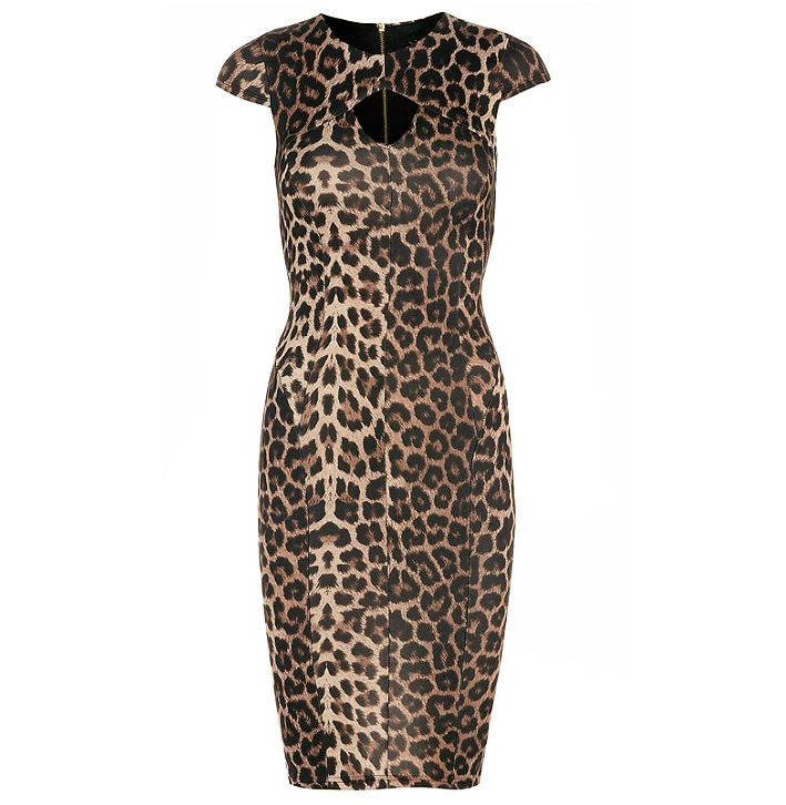 Brown Animal Leopard Print Cut Out Stretch Jersey Bodycon Pencil Dress ...