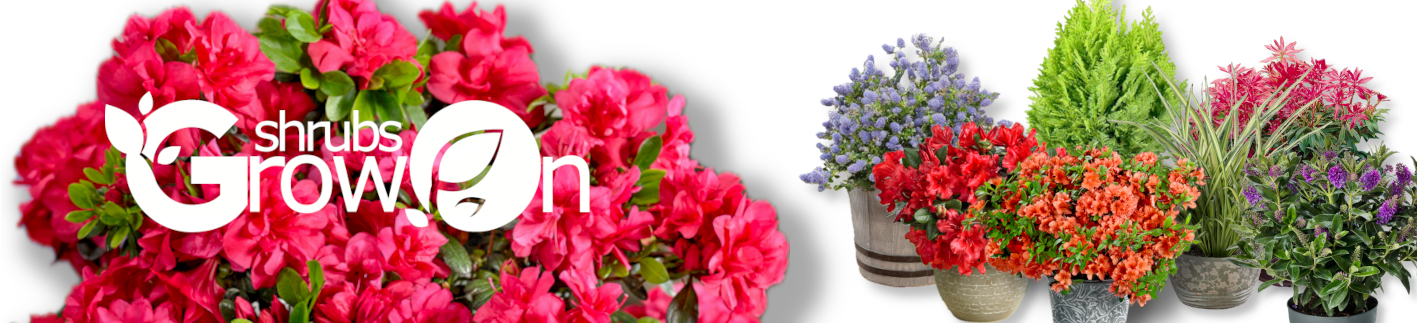 GrowOn Shrubs