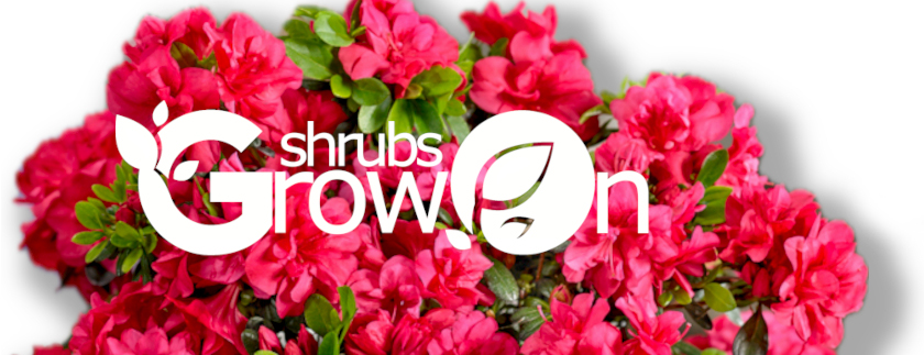 GrowOn Shrubs